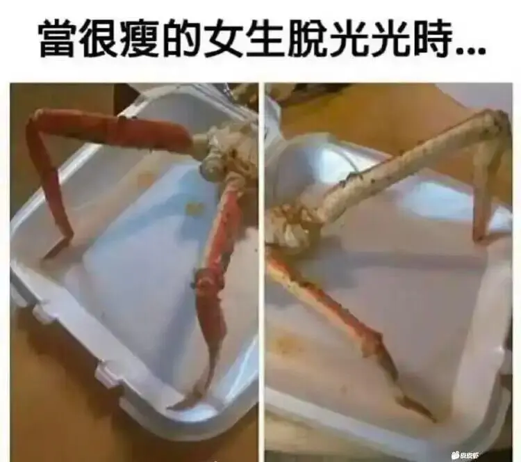 难怪男人不喜欢太瘦的女人
