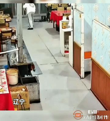 餐馆里，一女子正在拖地，感觉门外不对劲，抬头一看撒腿就跑，怎么回事啊………
网友