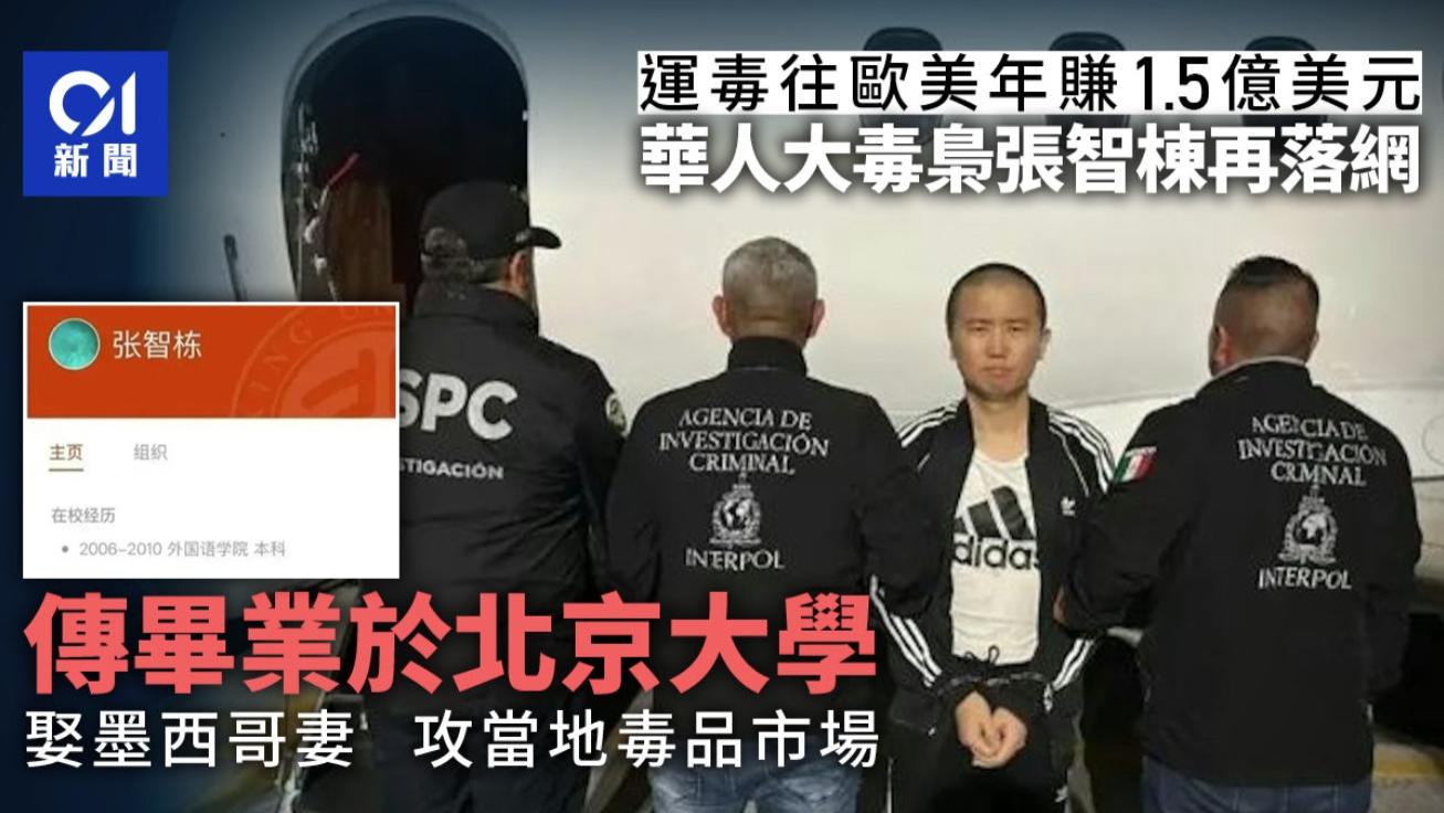 北大高材生的绝命选择：张智栋的动机与《绝命毒师》的启示