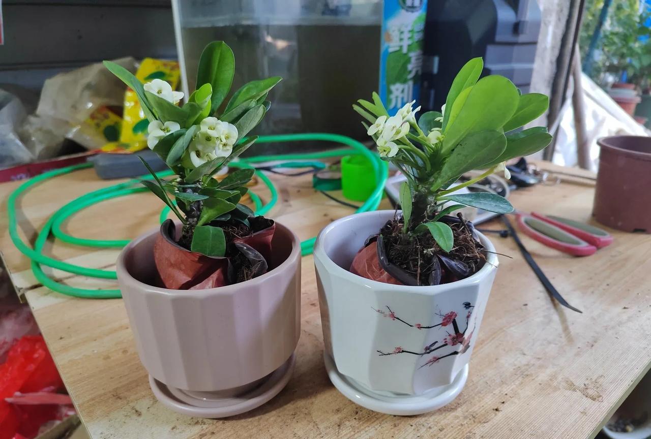 #分享城市新鲜事#