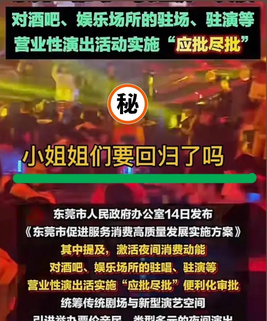 东莞的夜晚要变样了
2025年7月14日，东莞给夜晚撕开了一道口子。
市政府突然