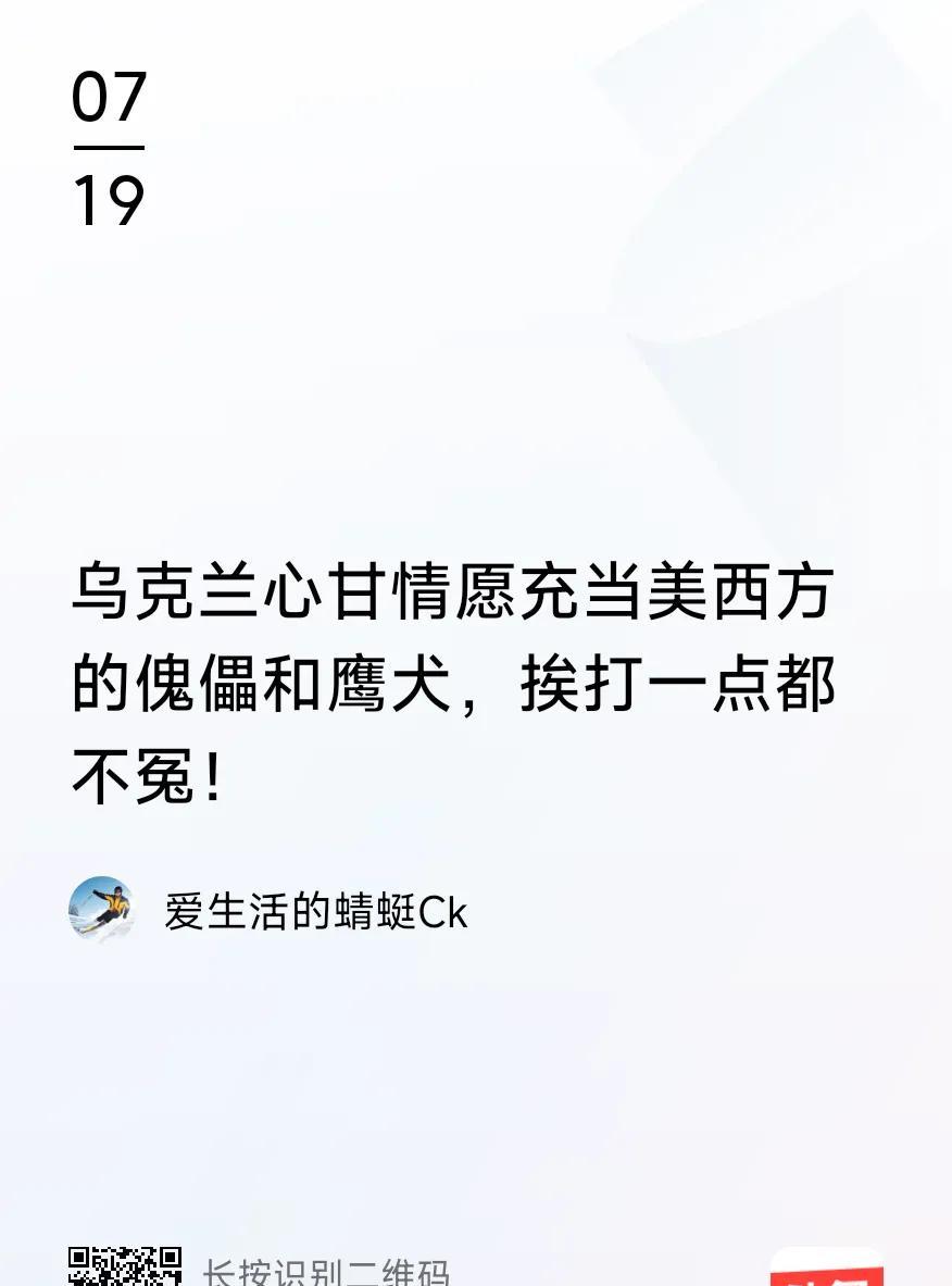 国际关系不是简单的“黑”与“白”，也不是通过武力能解决问题的。
如果说乌克兰充当