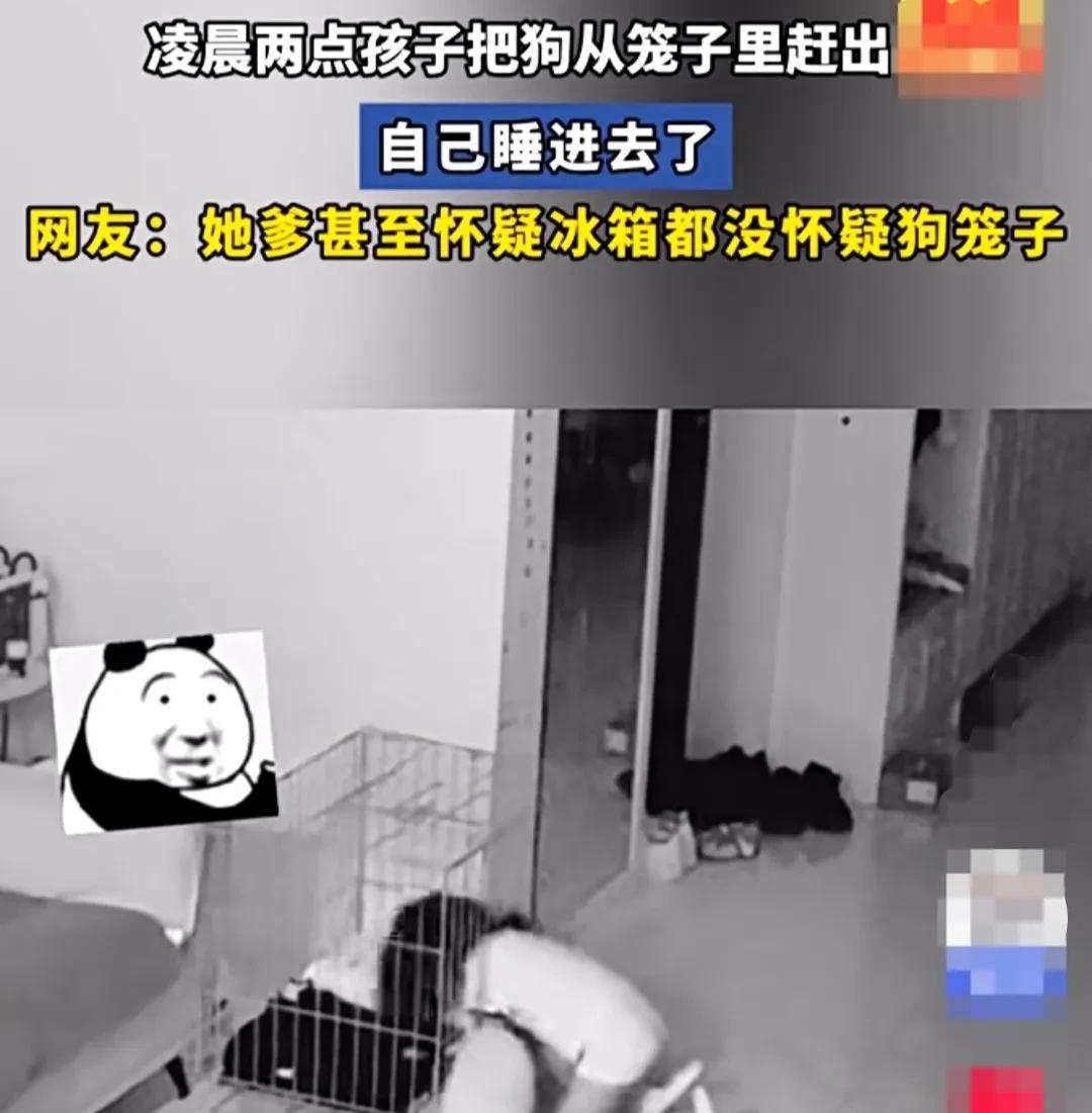 凌晨两点，孩子突然抱着自己的睡垫，来到狗狗的笼子前面。
打开笼子，将狗狗一把从笼
