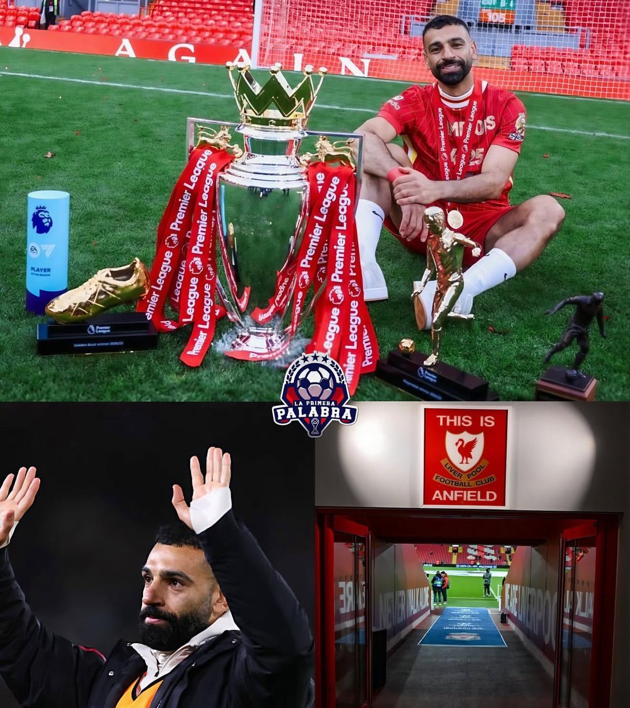 唉 又是一个被宠坏了的孩子 法老的在社媒的一系列炒作 只能说明他太不成熟还极度自