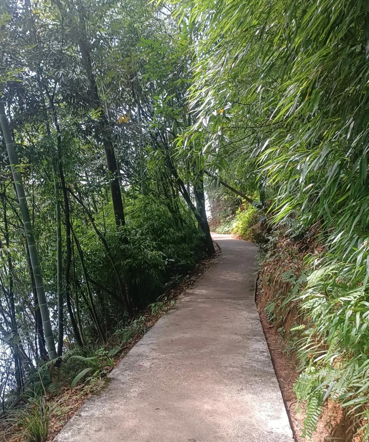 高级职称的评审
需要的奖项和荣誉必须是相当多的
而且是必须要有份量的
老实的老师