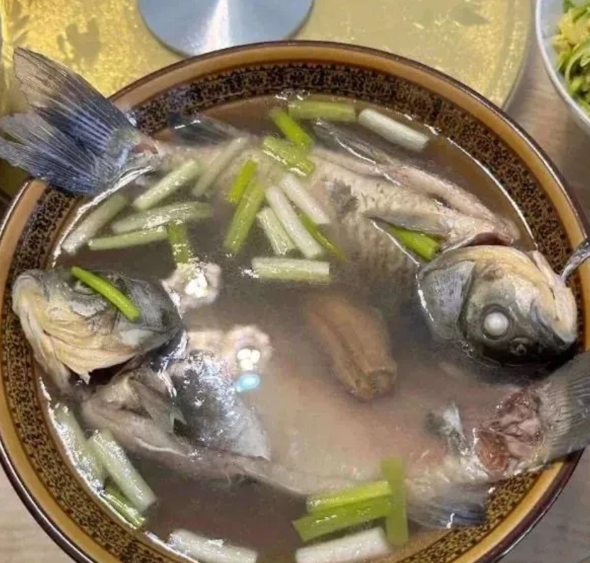 为什么我煮出来的鱼汤不是乳白的？