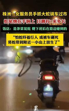 “我原以为吕布已经天下无敌了，竟还有高手？”株洲一女子一手拎蛇一手骑车，闺蜜的一