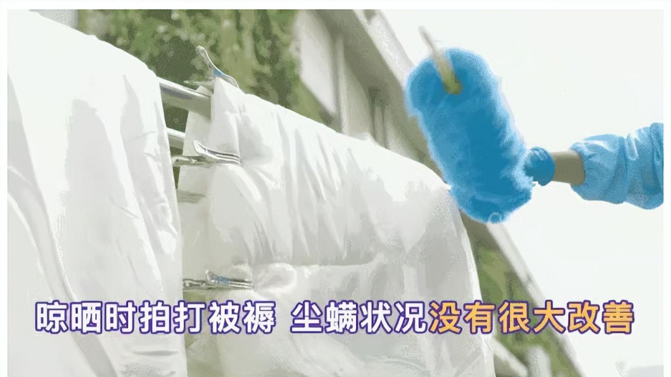 除螨仪哪个品牌最好最实用？真实测评不踩雷十大公认最好的除螨仪