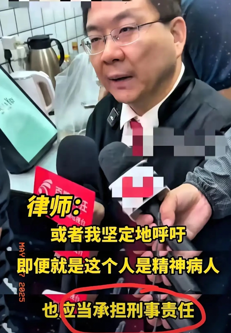 这句话说的实在是太好了：“难道正常人的命不比精神病人值钱吗？为什么要保护犯罪的精