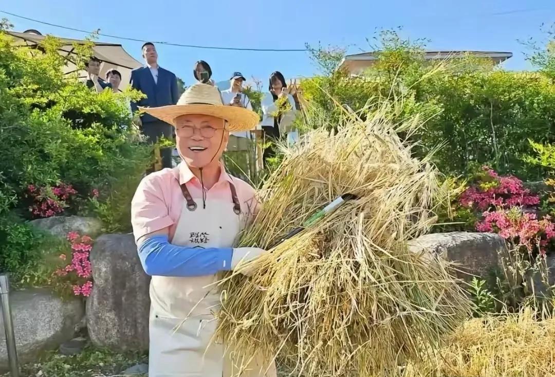 文在寅真的是好搞笑一个老头！
李在明上台之后，知道自己不会被找麻烦了，今天在社交