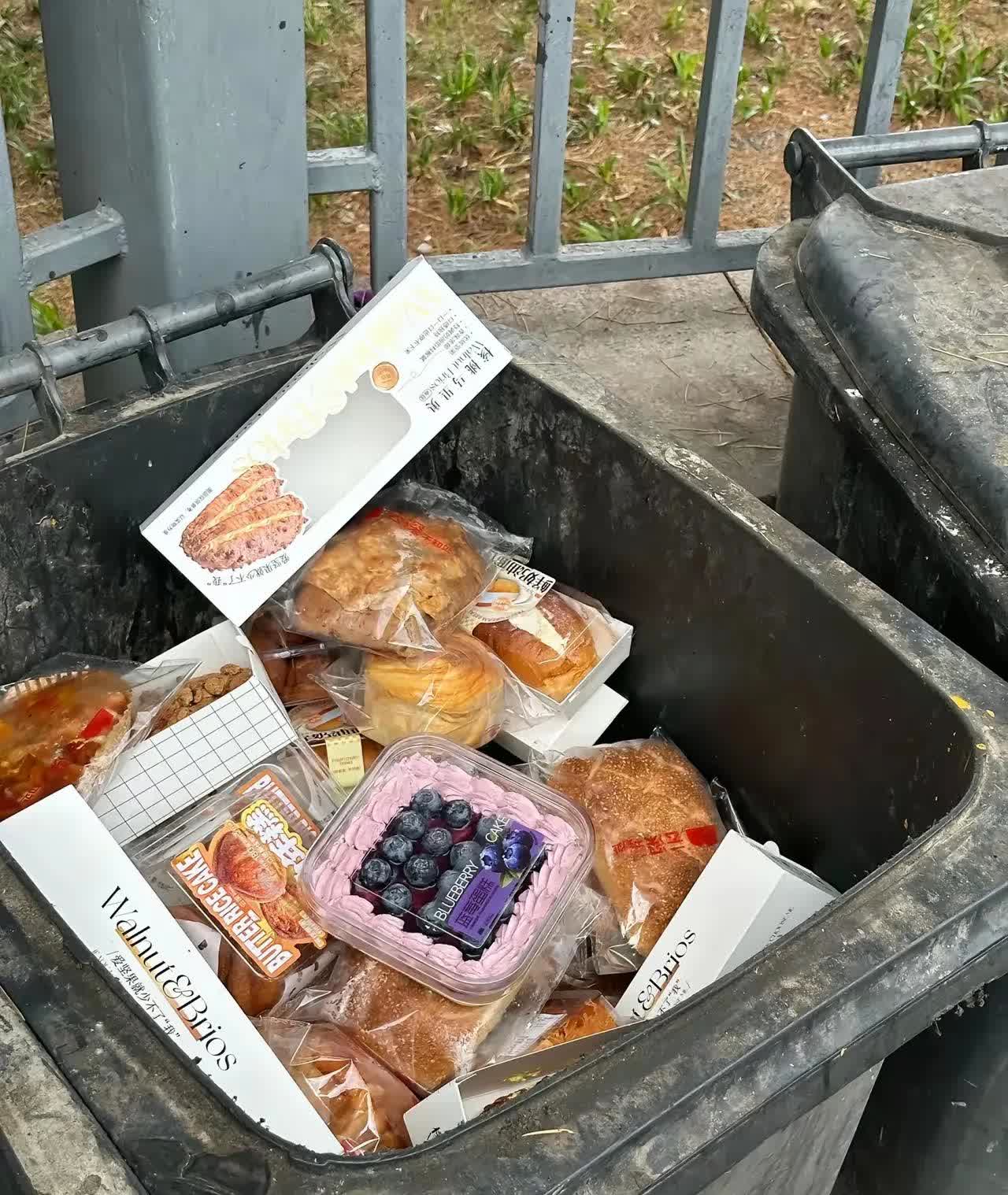 今晨扔垃圾的时候，
无意间看到，垃圾桶里有好多新鲜的水管和面包??
真让人心