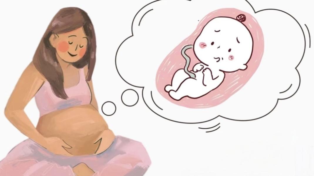 十个月的约定：宝宝在妈妈肚子里的成长日记