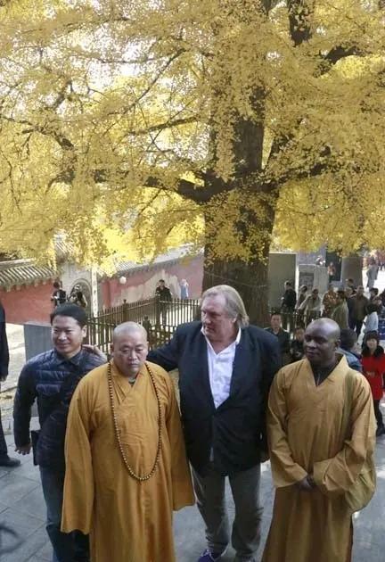 银杏树下站着两名和尚，看来看去，还是释永信看得顺眼。另外一个黑人和尚，怎么看都没