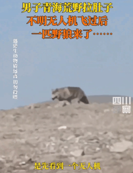 震惊！5月19日，青海玉珠峰，两男子在开车途闹肚子，因周围全是荒野无公厕，两人随