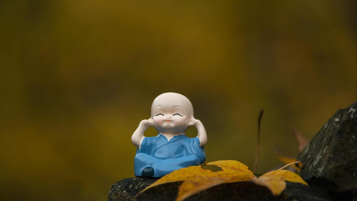 五十岁，人生重启正当时