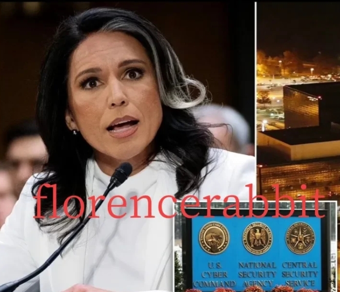 国家安全局局长塔尔西·加巴德宣布解雇 100 多名情报人员！

并取消了他们的安