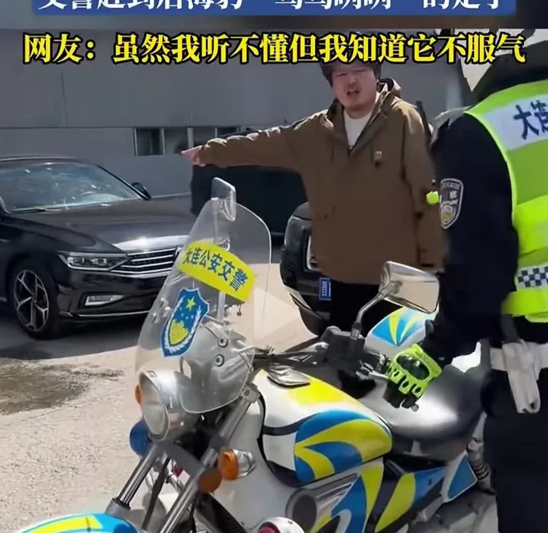 最近在网上看到一个奇葩事，很搞笑。
一个男子报警，说自己的车位被海豹占了，一天