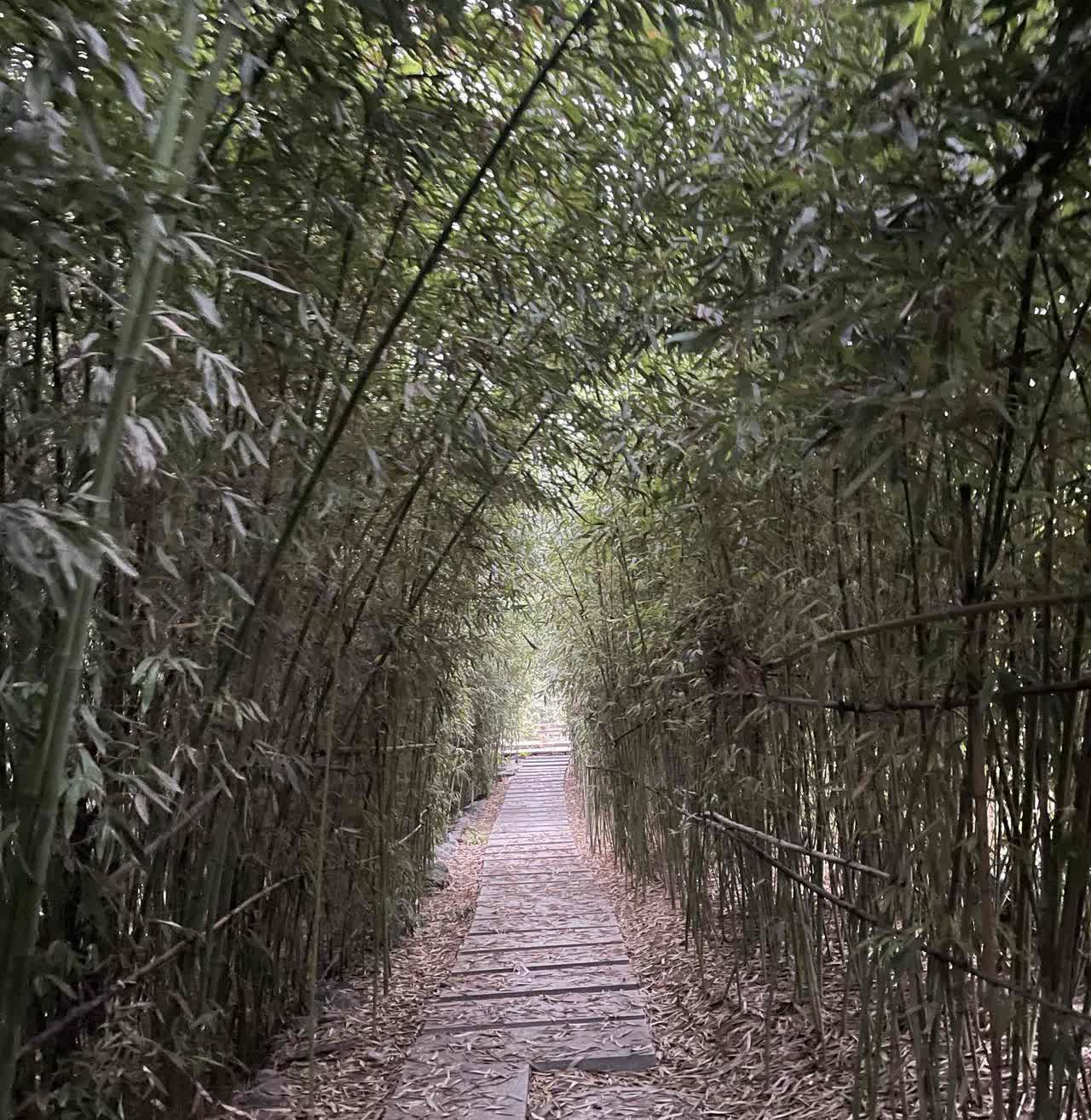 美俄会谈
不管结果怎么样
对我们来说都是个好事
我希望美俄走的更近一点
