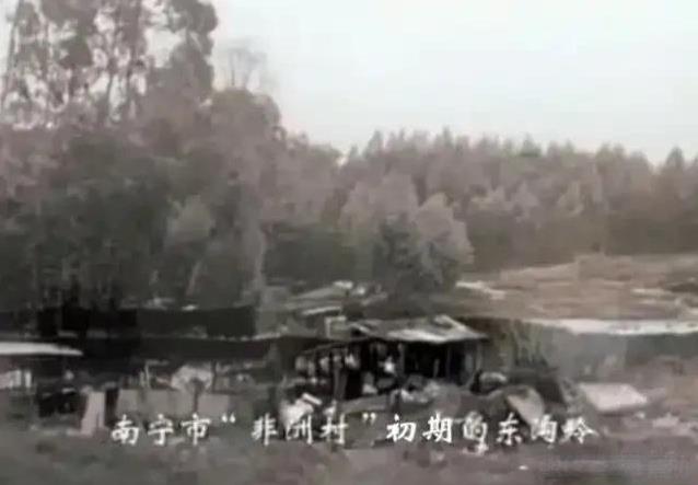 最早在大概70年代，有部分拆迁的居民自发的搬到东沟岭正街一带，当时基本就是简易的