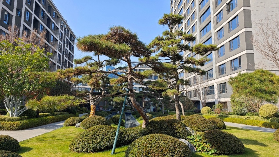 踩盘时被“抓住”了，实探伟星玖都荟！