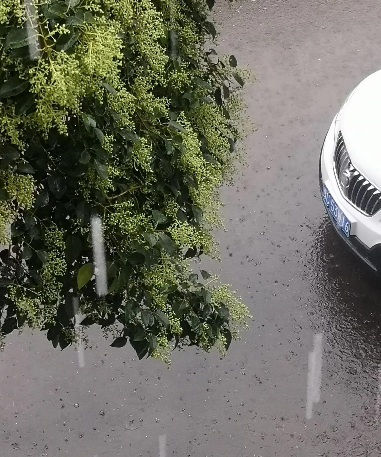 河南这场暴雨下得又喜又忧！
在经历多天干旱之后，河南多地昨晚至今晨，下了一场酣畅