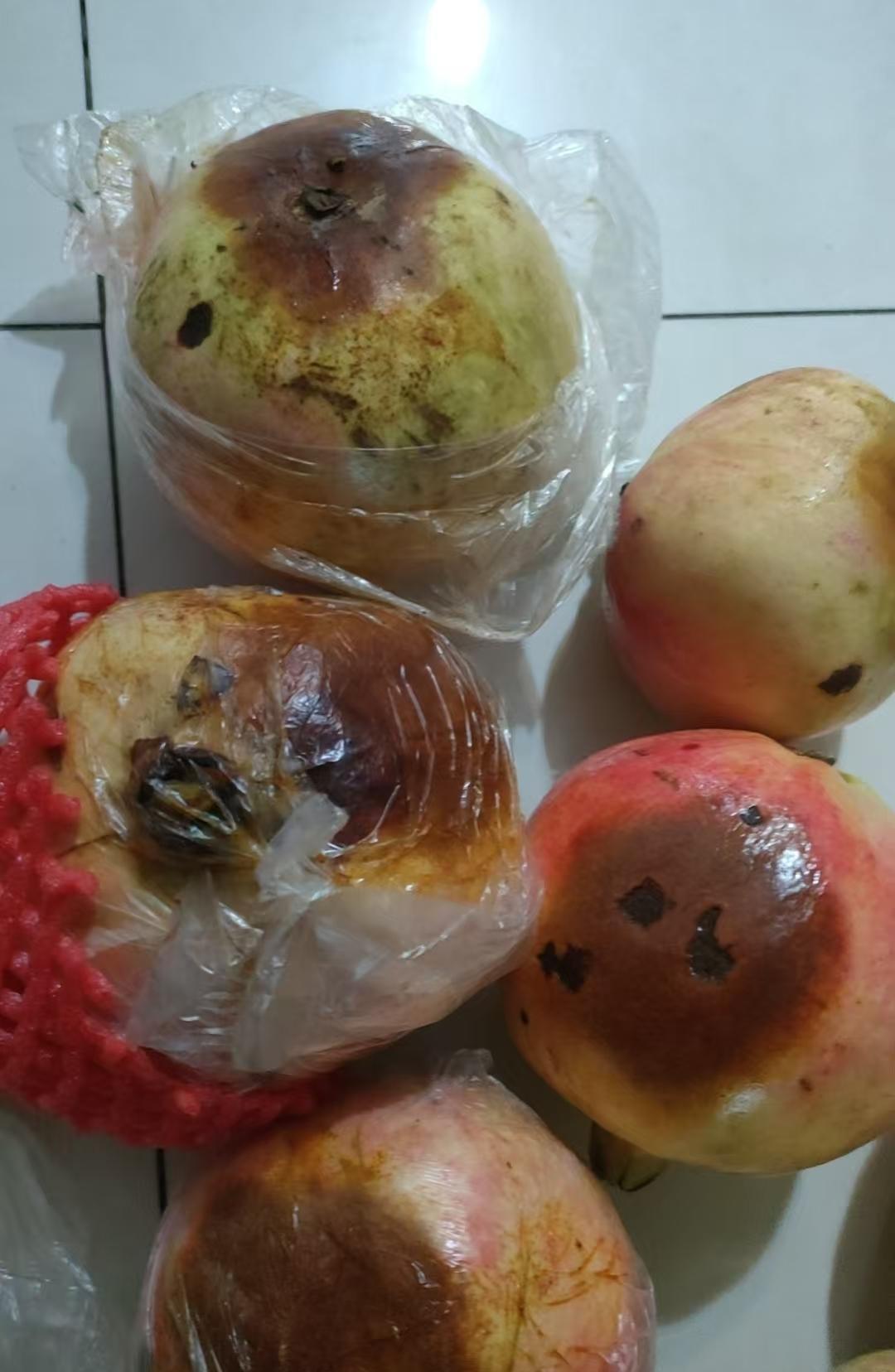 不得不说有些商家做生意还是不诚信。我在某平台买石榴买过多次，没有一个烂的，是又大