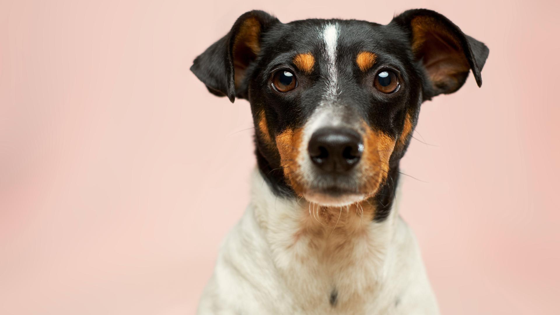 今天离职了，把87个同事领导都删了，我做错了吗？