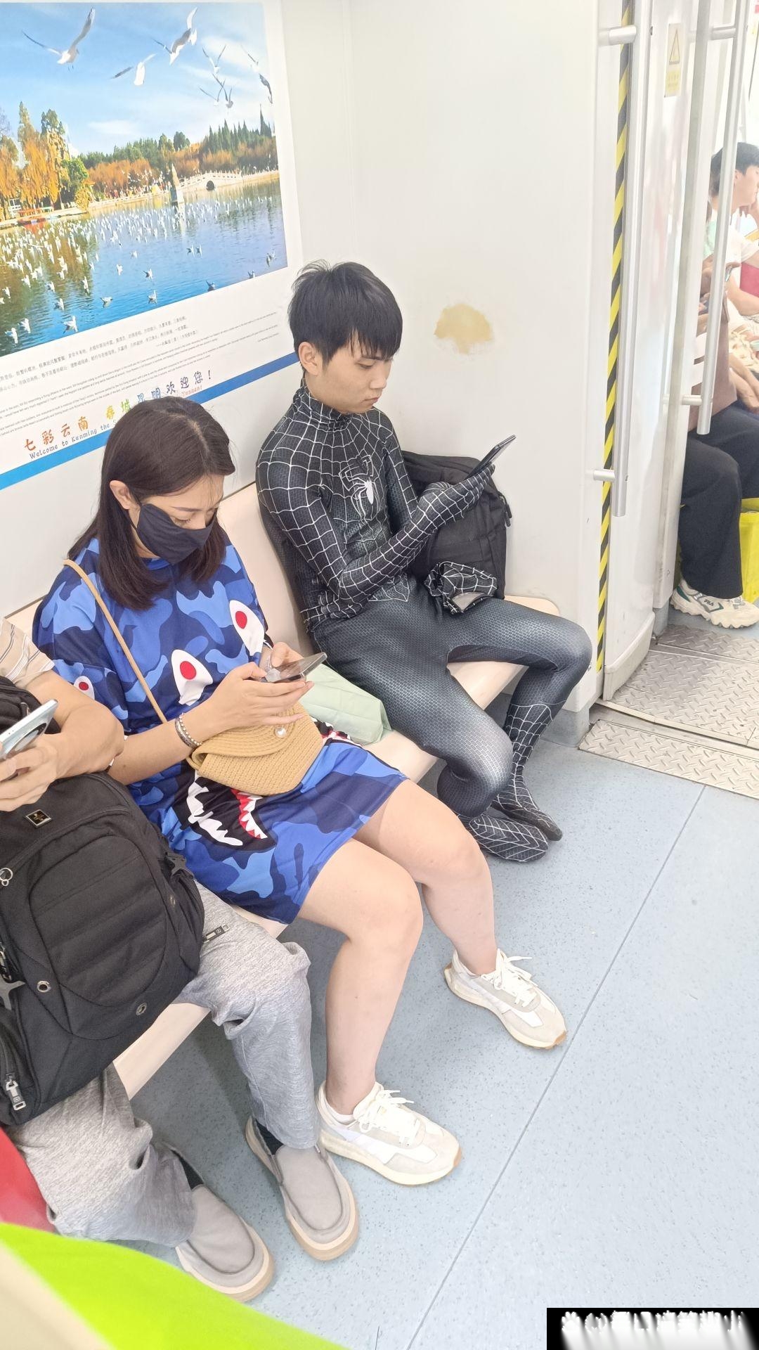 给你们看个不一样的蜘蛛！