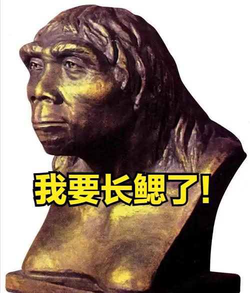 北京人要进化出鳃了？这潮热天气太反常！
最近，北京的天气简直热出了新高度，还潮湿
