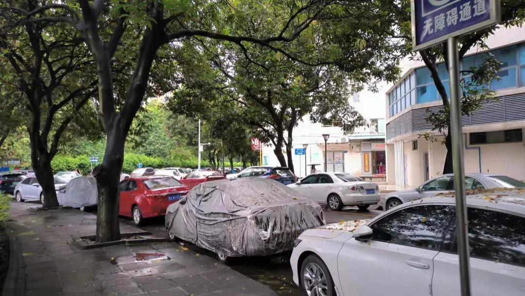单价1万+，棠德花苑，为啥沦落至今？