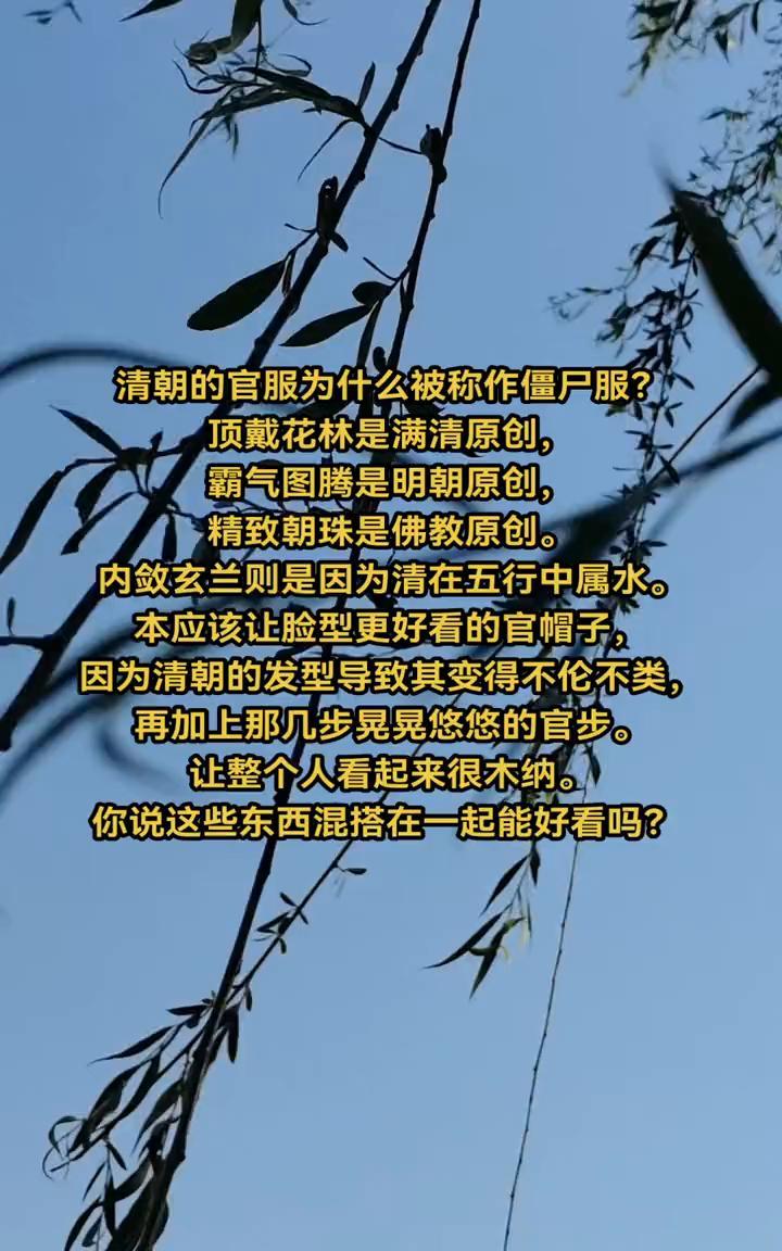 清朝的官服为什么被称作僵尸服？
顶戴花翎是满清原创，霸气图腾是明朝原创，精致朝珠