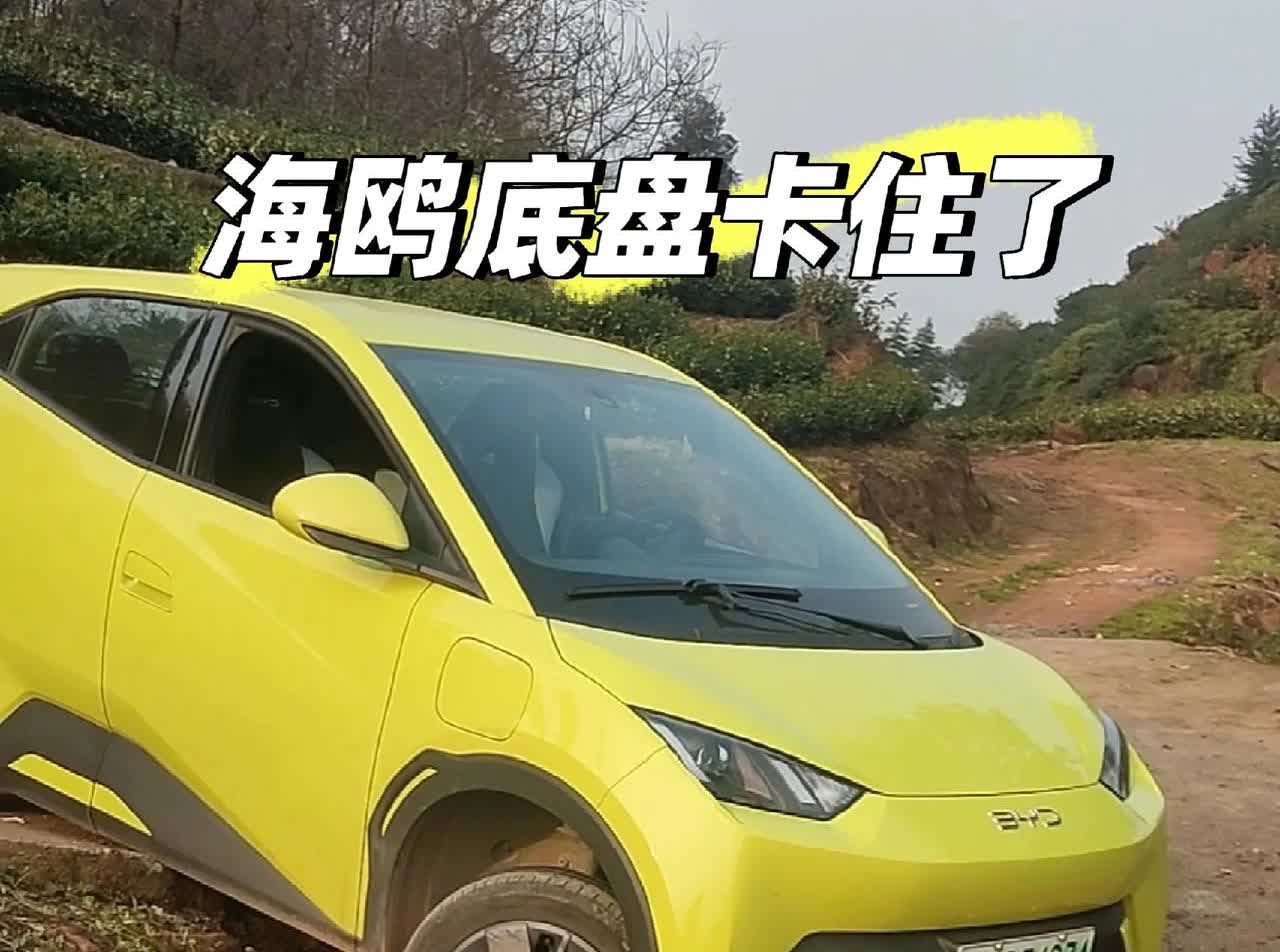 比亚迪海鸥勇闯山区被卡！两壮汉抬车救援，这车还能买吗？

昨天在车主群看到有