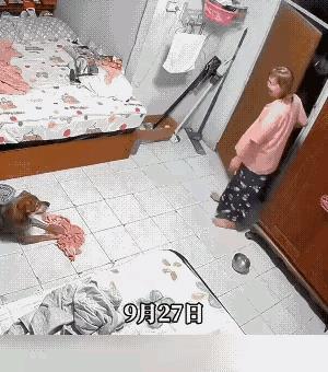 这条狗还能养吗？
女子进屋喊狗狗吃饭，可话音刚落，狗狗扑上去咬女子，把女子扑倒后