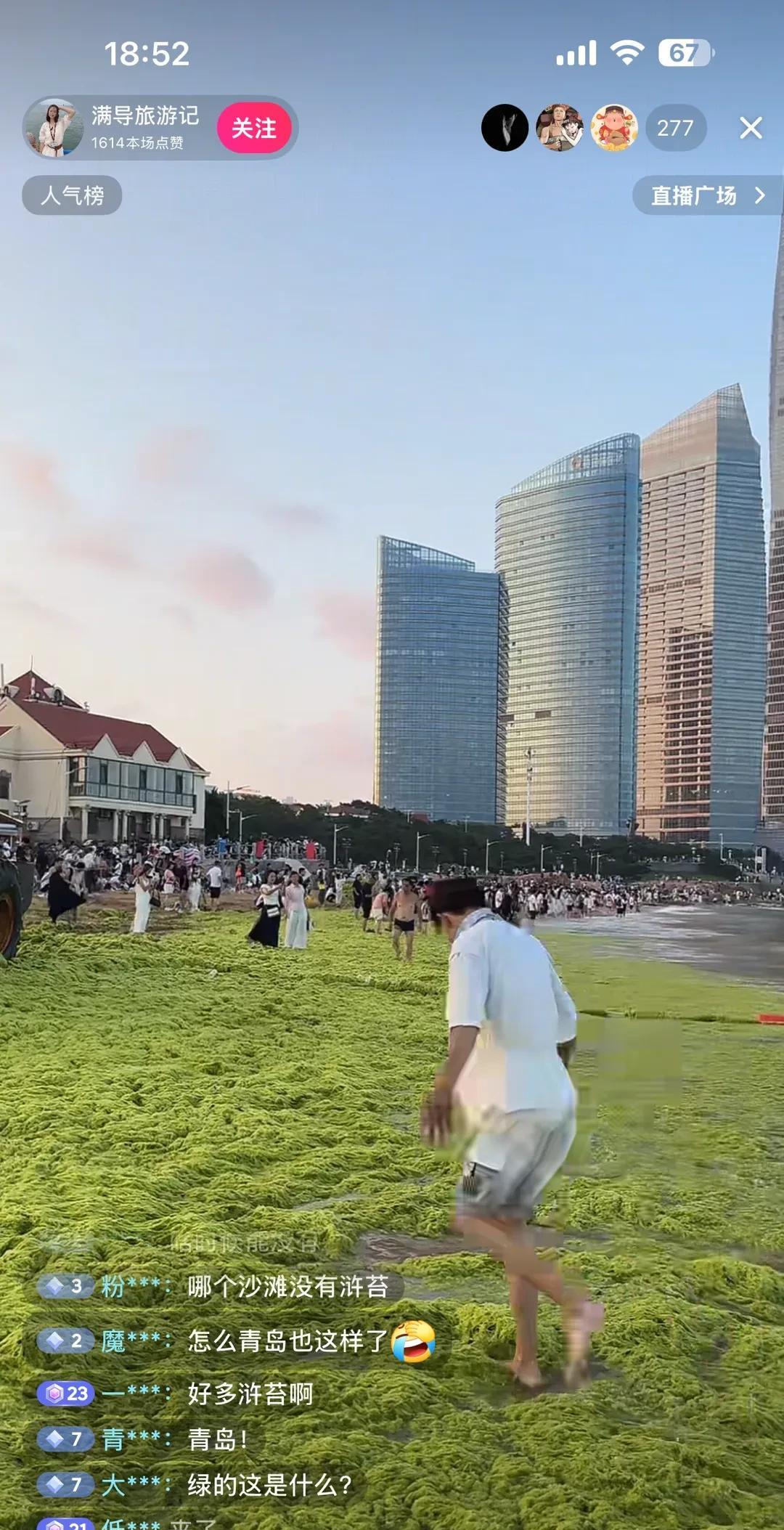 替江浙说句话，山东浒苔问题不能怪江浙
最近，网红直播，青x市海边又如期爆发浒苔，