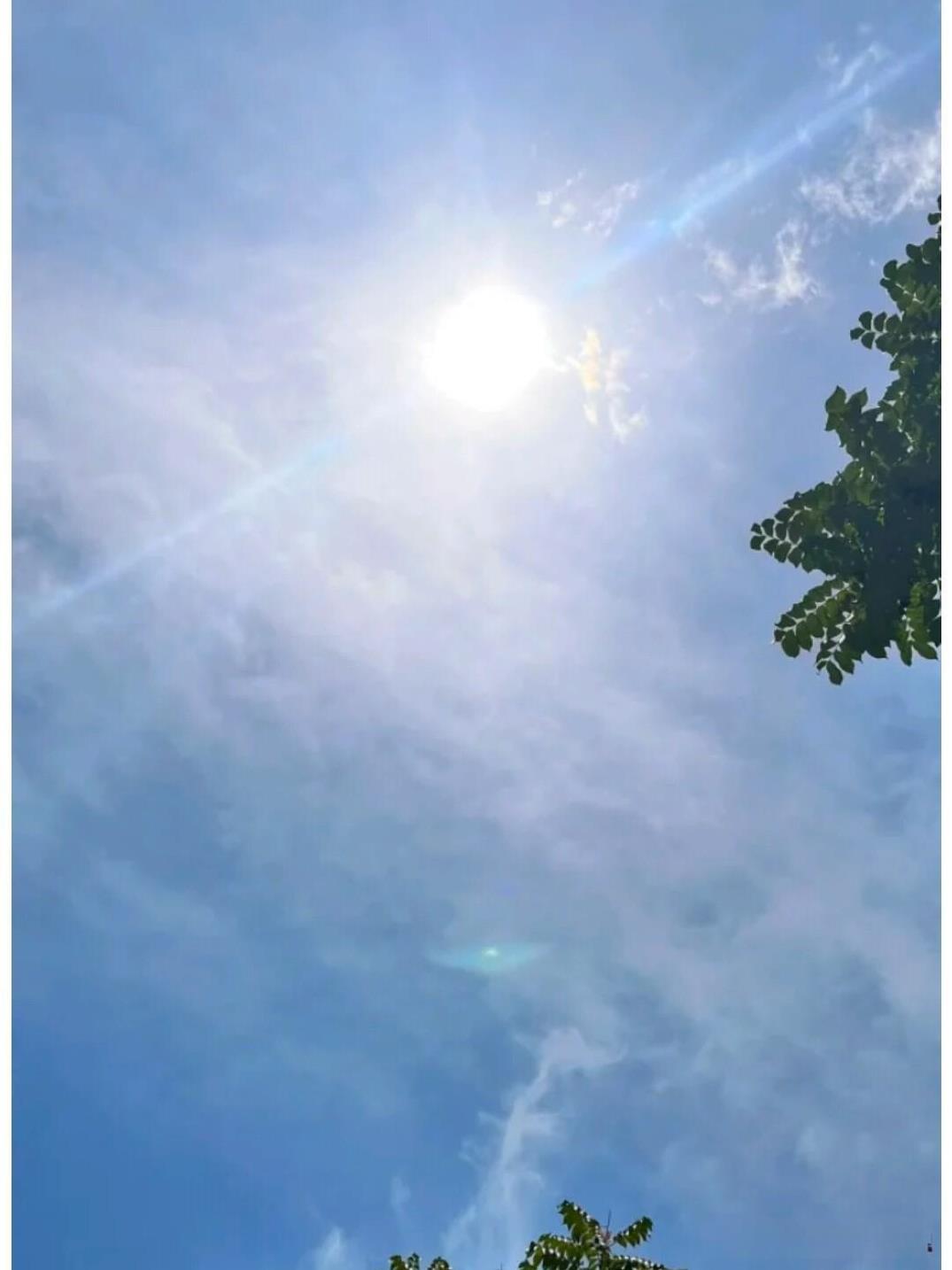 大家发现没有，
今年可是太反常了，
都立秋一个多月了，
最近几天的气温还是很高，