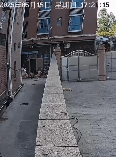 还好还好，小家伙没有后脑勺着地，大概是被吓到了！