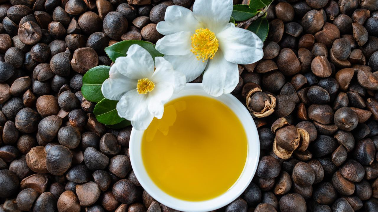 瓦子坪说山茶油：为什么茶油会成为资本关注对象