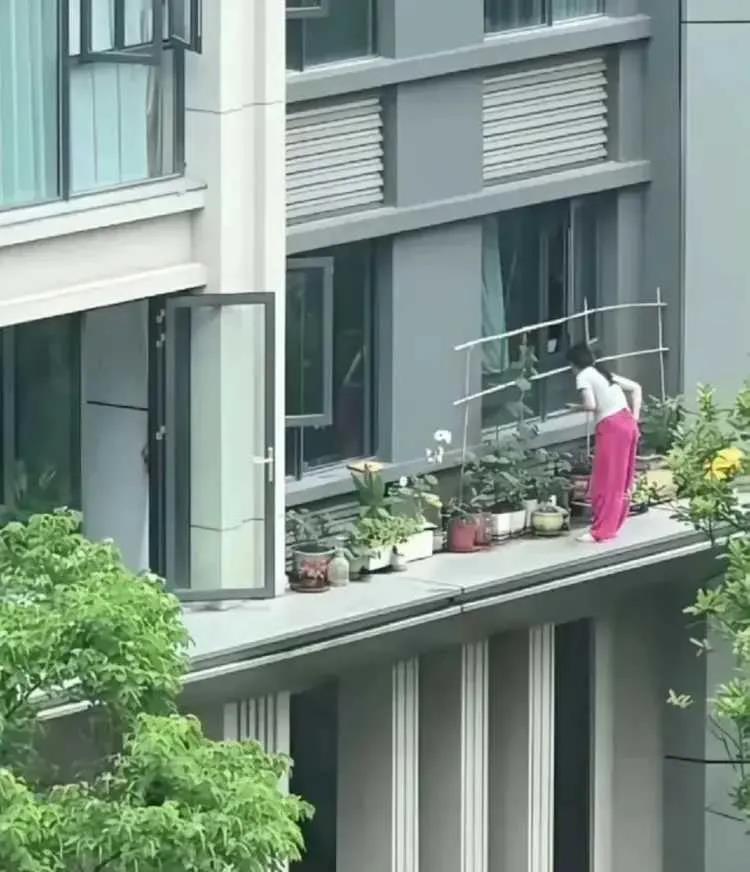 这样种花太危险了