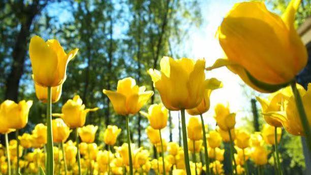 “立案差异”引发关注：2000万涉诈线索未立，关联民事纠纷却立案？