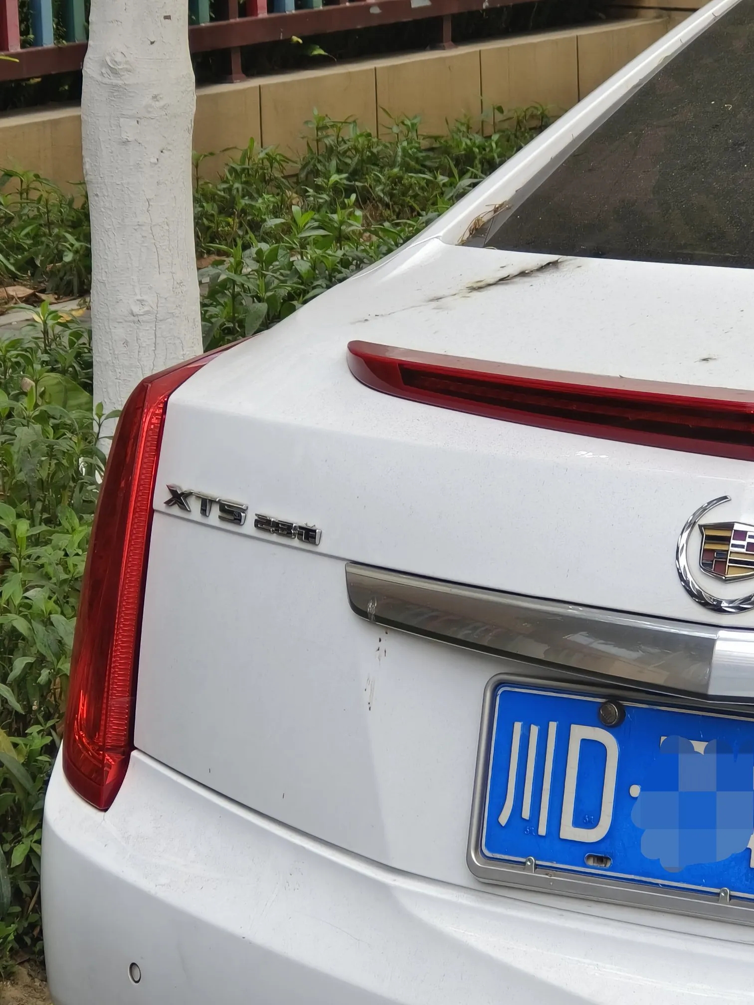 凯迪拉克XT5 260是轿车？真奇怪！

今天在路边看到一辆凯迪拉克轿车，是一辆