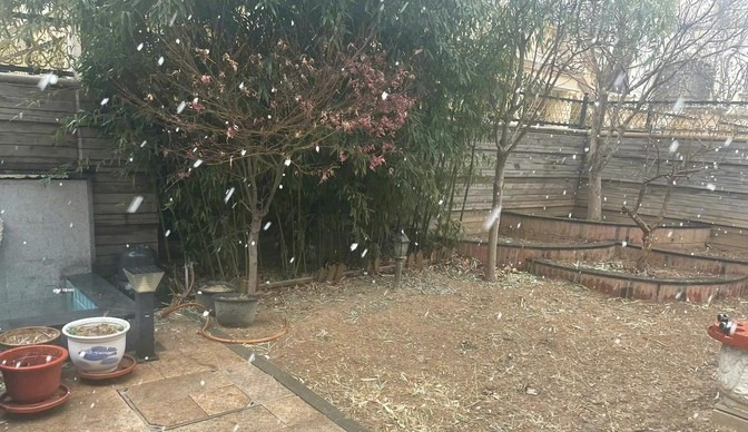 张一山淋雪自嘲像落汤鸡











下雪天，张一山发动态说谁骗人谁是小