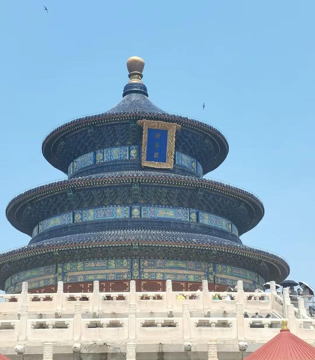 小时候语文课本上见过，如今看上去还是那么漂亮！[吃瓜群众]