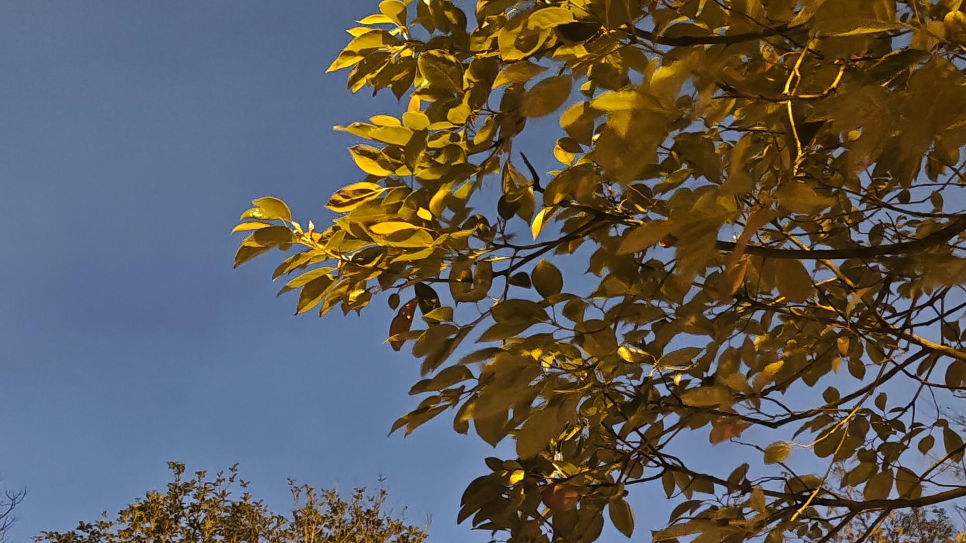 我妈扛着锄头从地里赶去营业厅：别让“等有空”辜负了父母的期待