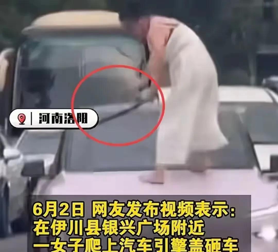 结果出来了，没出意外，这女士确实是精神病人，当时正在发作期。
幸好是用棍子敲的车
