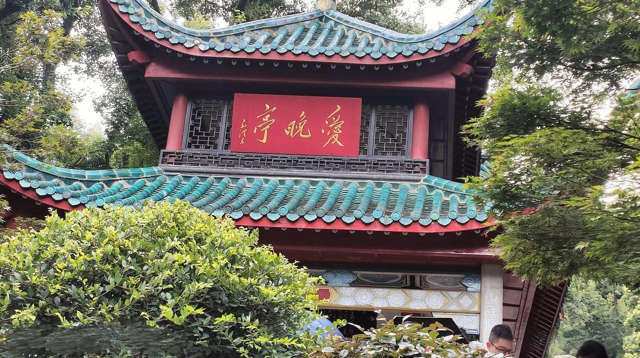 今天终于来爱晚亭打卡啦！
虽然没赶上枫叶季，但夏天的亭子绿油油的，配上蓝天白云也