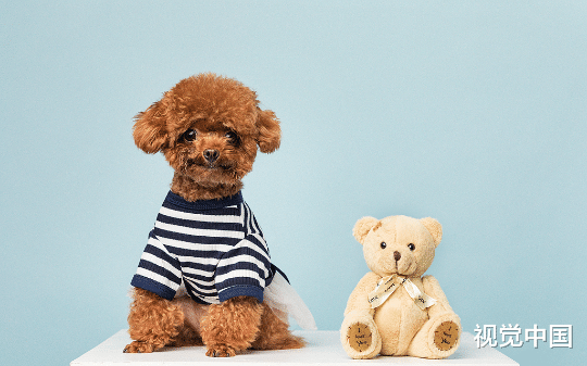 家中失火，老公选择救狗不救妈：贝贝才三个月大，你妈活这么久，该知足了