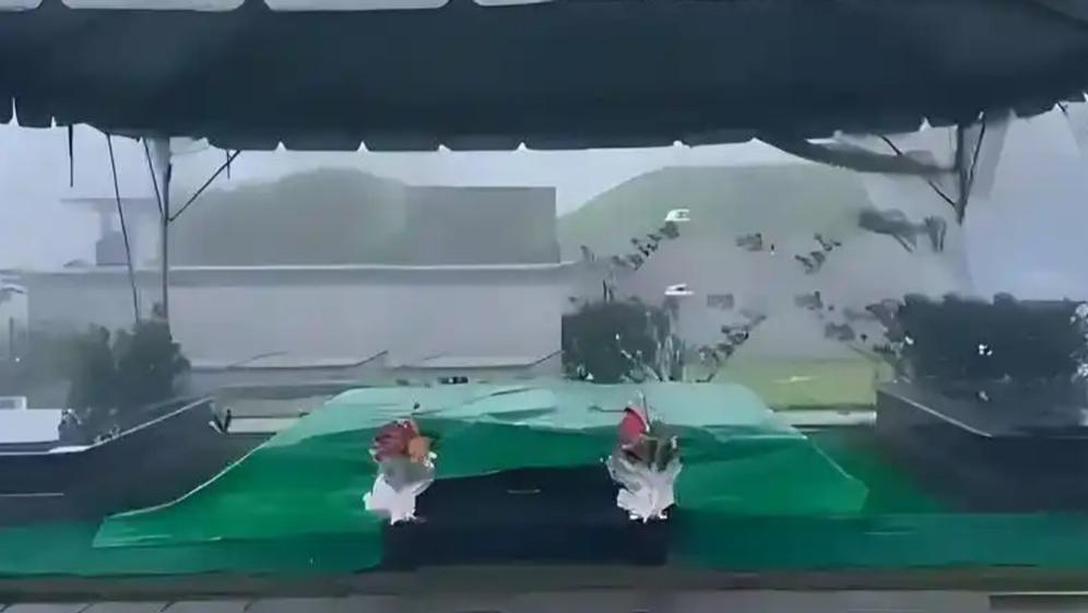 活人靠死人赚钱！粉丝曝光大S墓地真实环境，5天就成网红打卡地