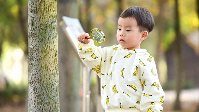 照顾孙儿三载，阳台偶闻对话，我悄然收拾行囊离去