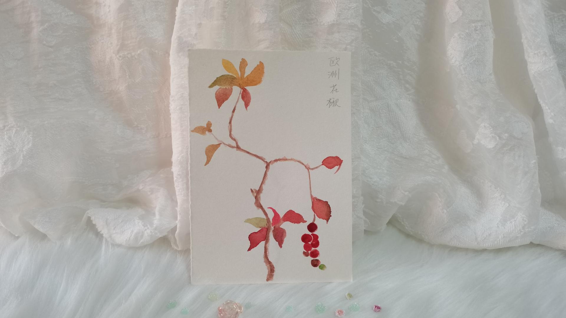 41 欧洲花楸（绘画 | 水彩 | 果花甘05）