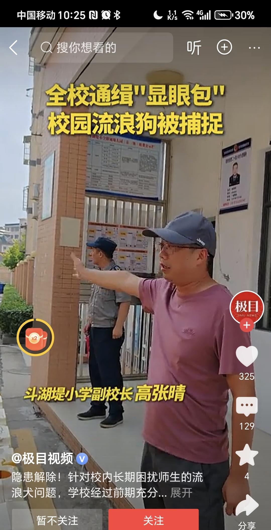 全校通缉抓捕流浪狗，保障师生安全。
一个小学存在流浪狗，困扰师生，有安全隐患，在